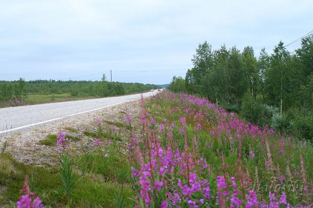 Norwegia (288).JPG - Norwegia północna